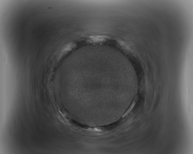 X0000086031441200703301044