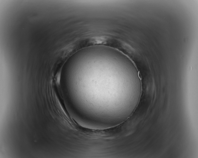 X0000086031442200703301044