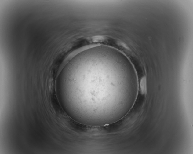 X0000086031443200703301044