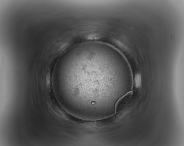 X0000086031444200703301044
