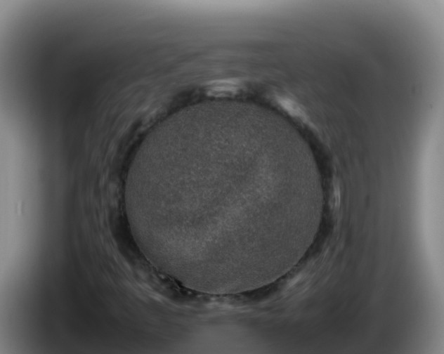 X0000086031445200703301044