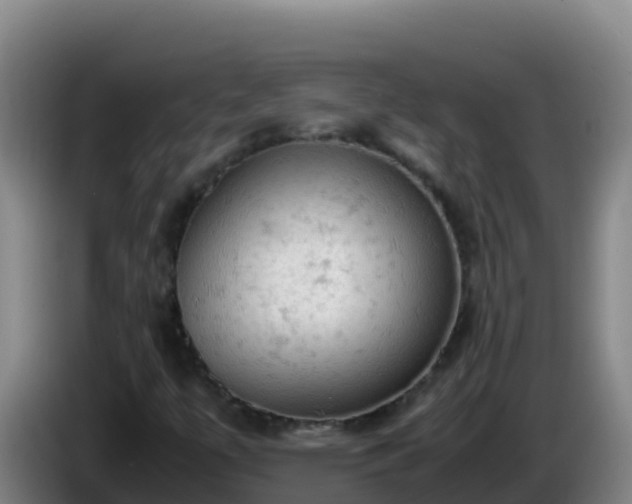 X0000086031447200703301044