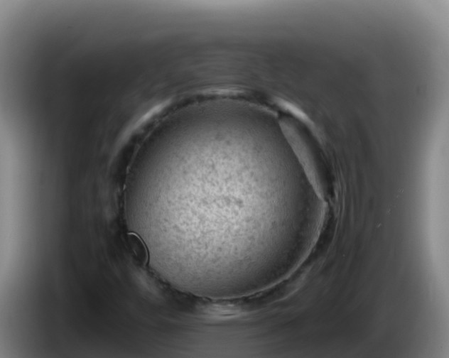 X0000086031448200703301044