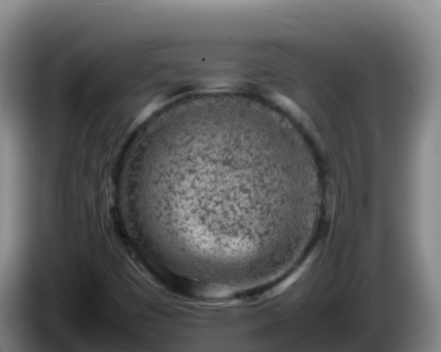 X0000086031449200703301044