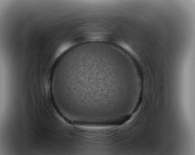 X0000086031450200703301044