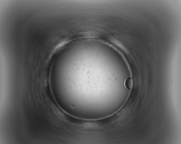 X0000086031451200703301044
