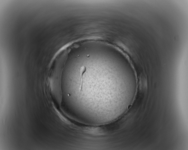 X0000086031452200703301044