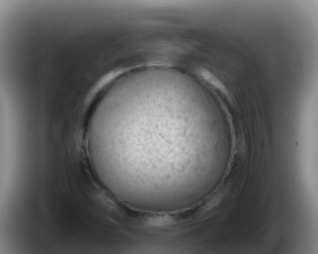 X0000086031454200703301044