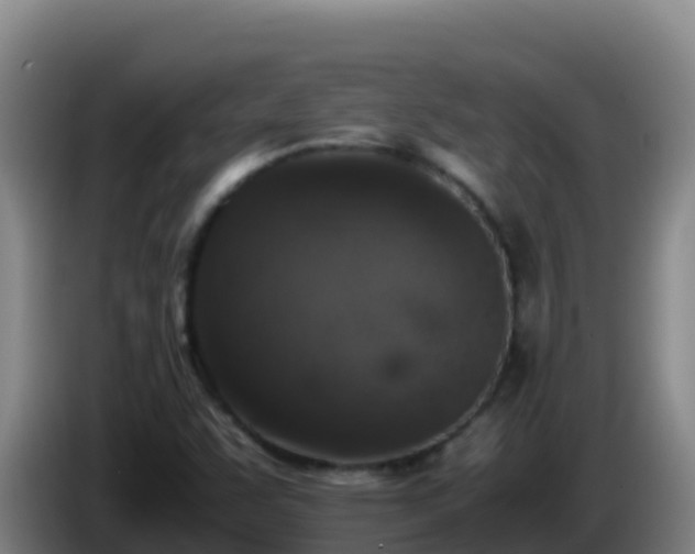 X0000086031455200703301044