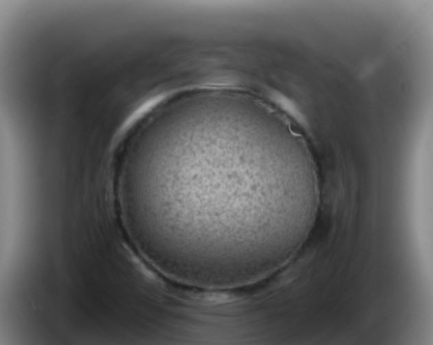 X0000086031456200703301044
