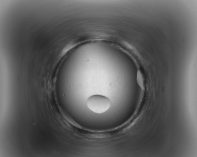X0000086031457200703301044
