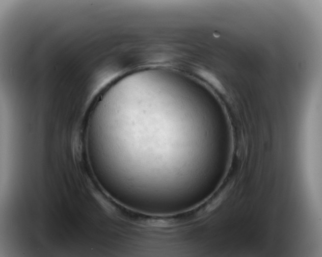 X0000086031458200703301043