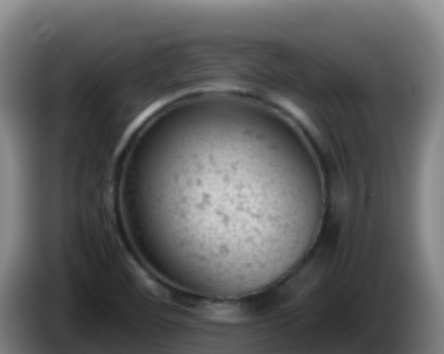 X0000086031460200703301043