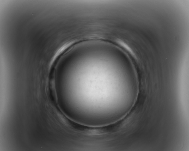 X0000086031461200703301043