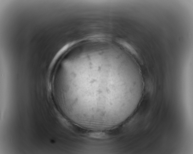 X0000086031462200703301043