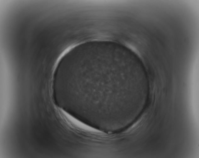X0000086031463200703301043