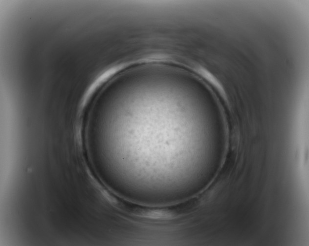 X0000086031464200703301043