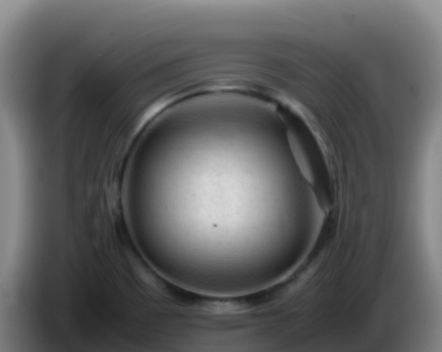 X0000086031465200703301043