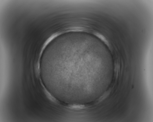 X0000086031466200703301043