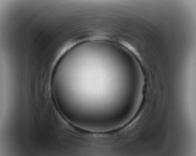 X0000086031469200703301043