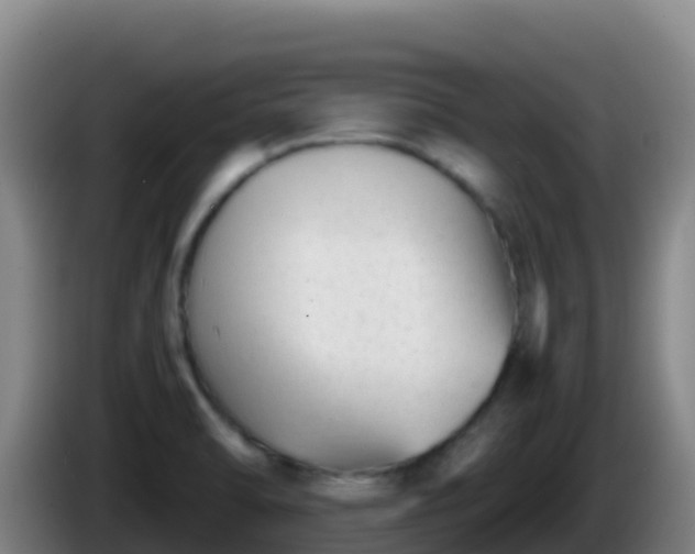 X0000086031470200703301043