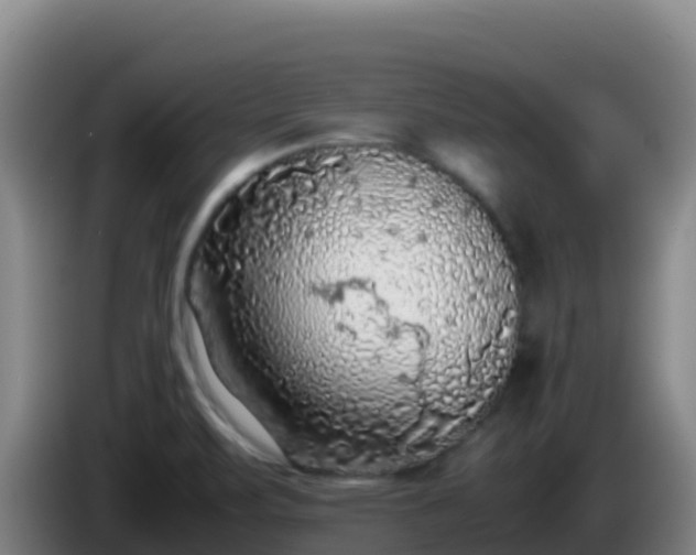 X0000086031471200703301043