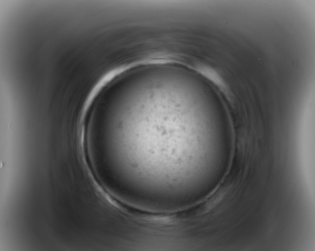 X0000086031472200703301043