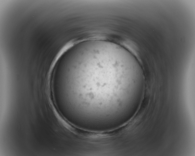 X0000086031475200703301043