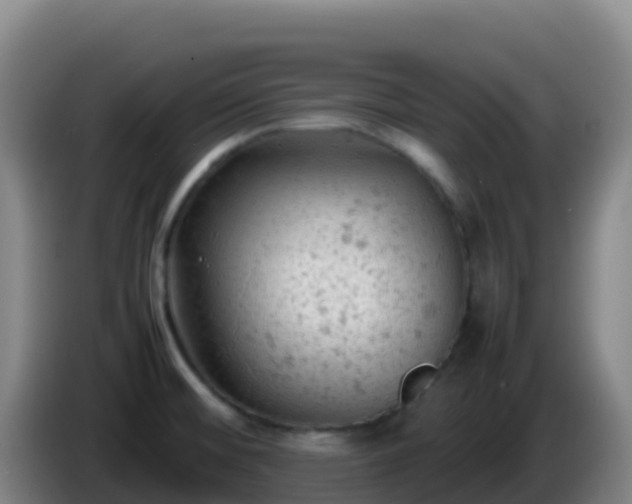 X0000086031476200703301043