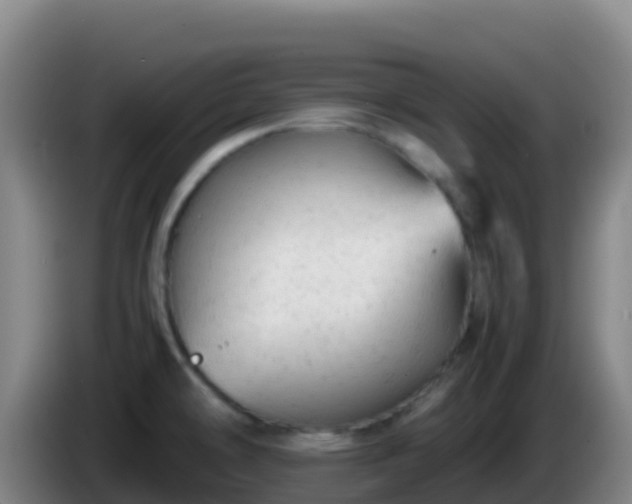 X0000086031478200703301043