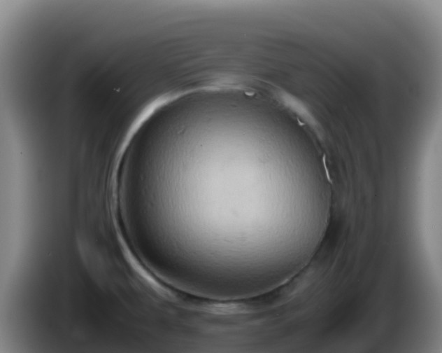 X0000086031479200703301043