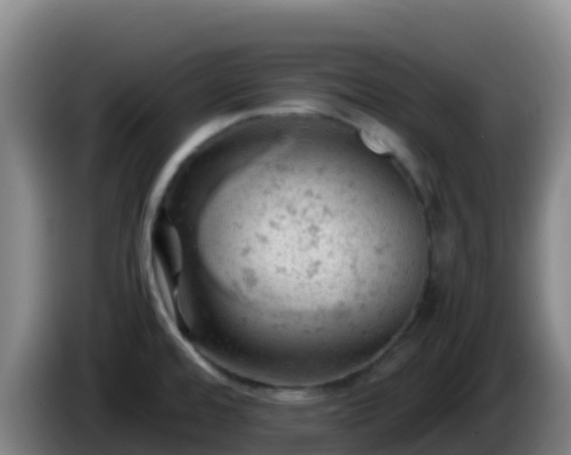 X0000086031480200703301043