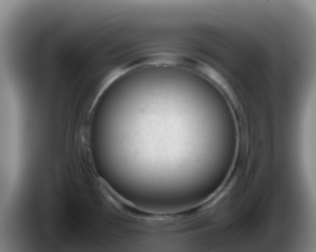 X0000086031481200703301043