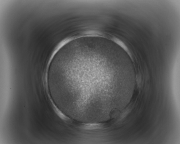 X0000086031482200703301043