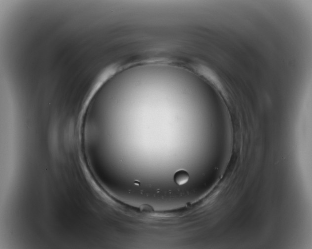 X0000086031483200703301043