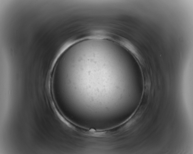 X0000086031484200703301043
