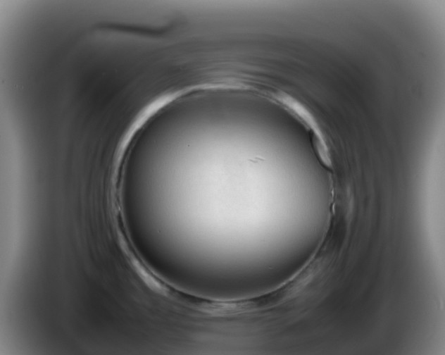 X0000086031485200703301043
