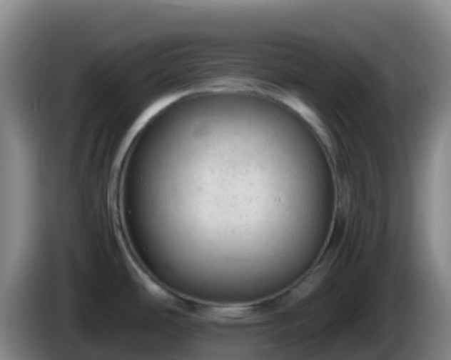 X0000086031486200703301043
