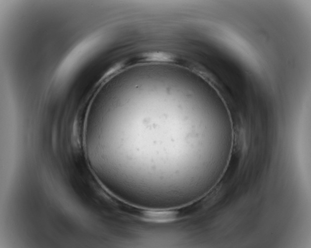 X0000086031487200703301043