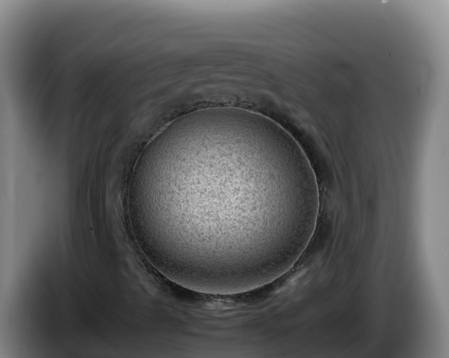 X0000086031489200703301042