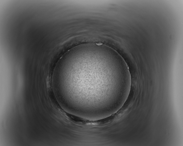 X0000086031490200703301042