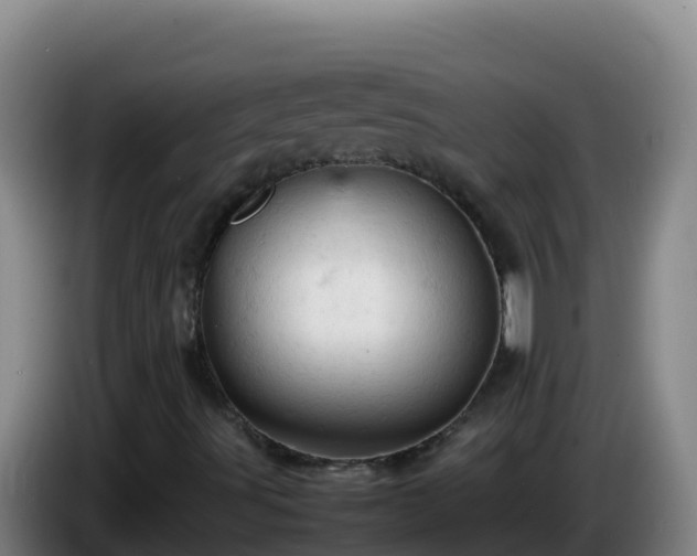 X0000086031491200703301042