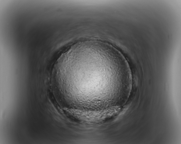 X0000086031494200703301042