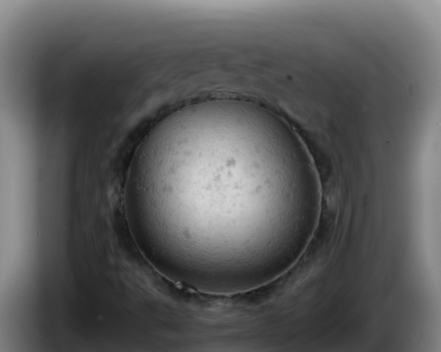 X0000086031495200703301042