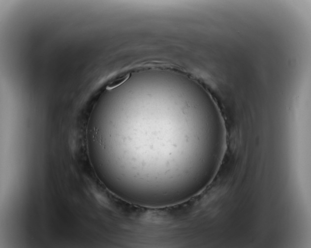 X0000086031496200703301043