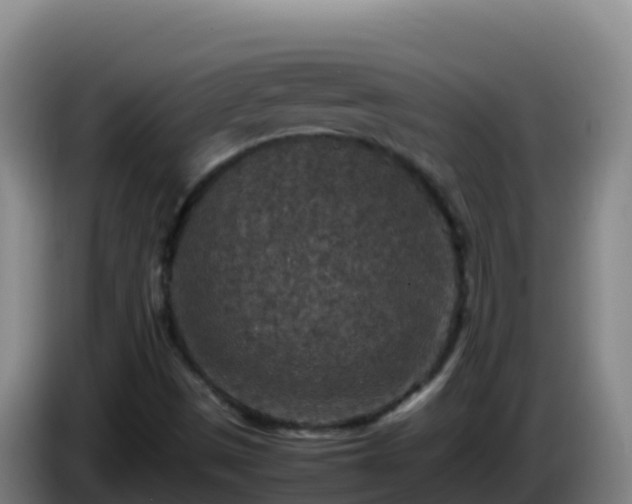 X0000086031497200703301043