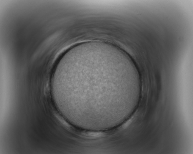 X0000086031498200703301043