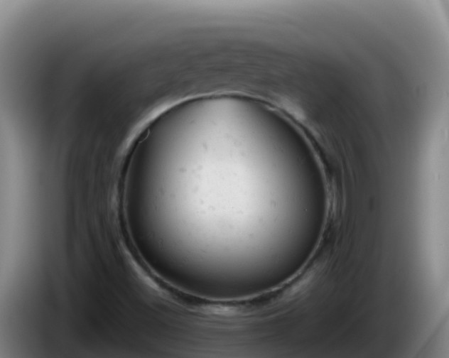 X0000086031500200703301043