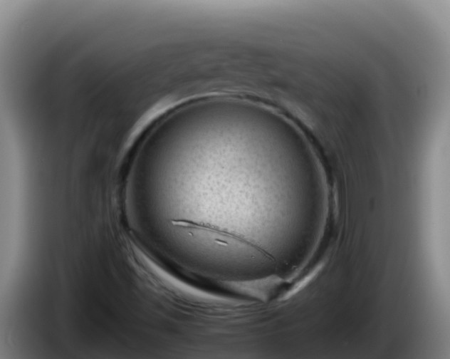 X0000086031501200703301043