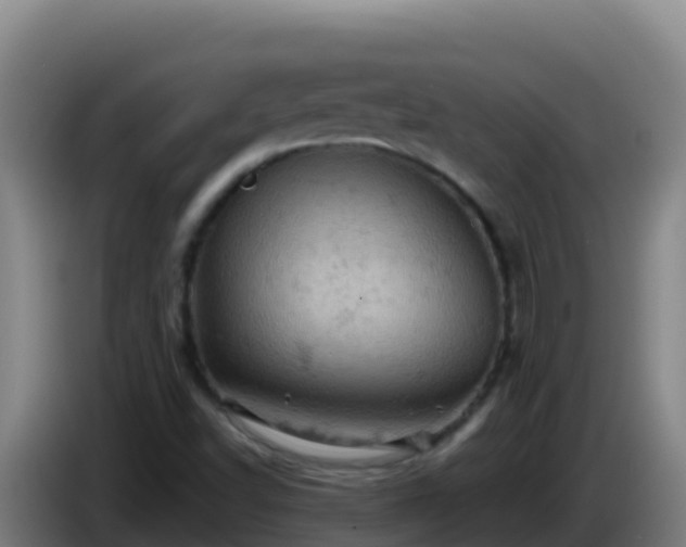 X0000086031502200703301043